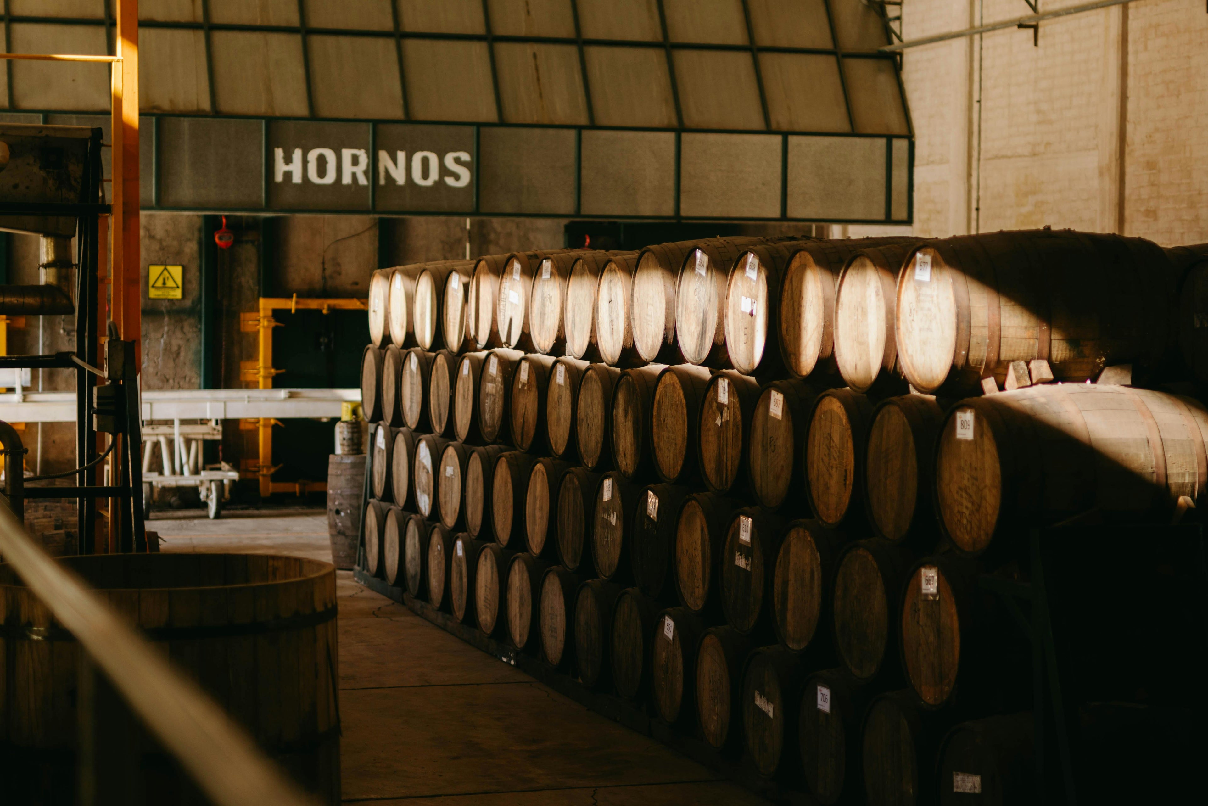 Bodegas