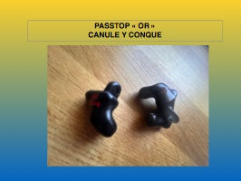 PASSTOP OS+ CONQUE